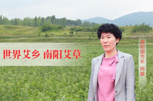 南陽艾草 一株香草托起的健康服務新未來